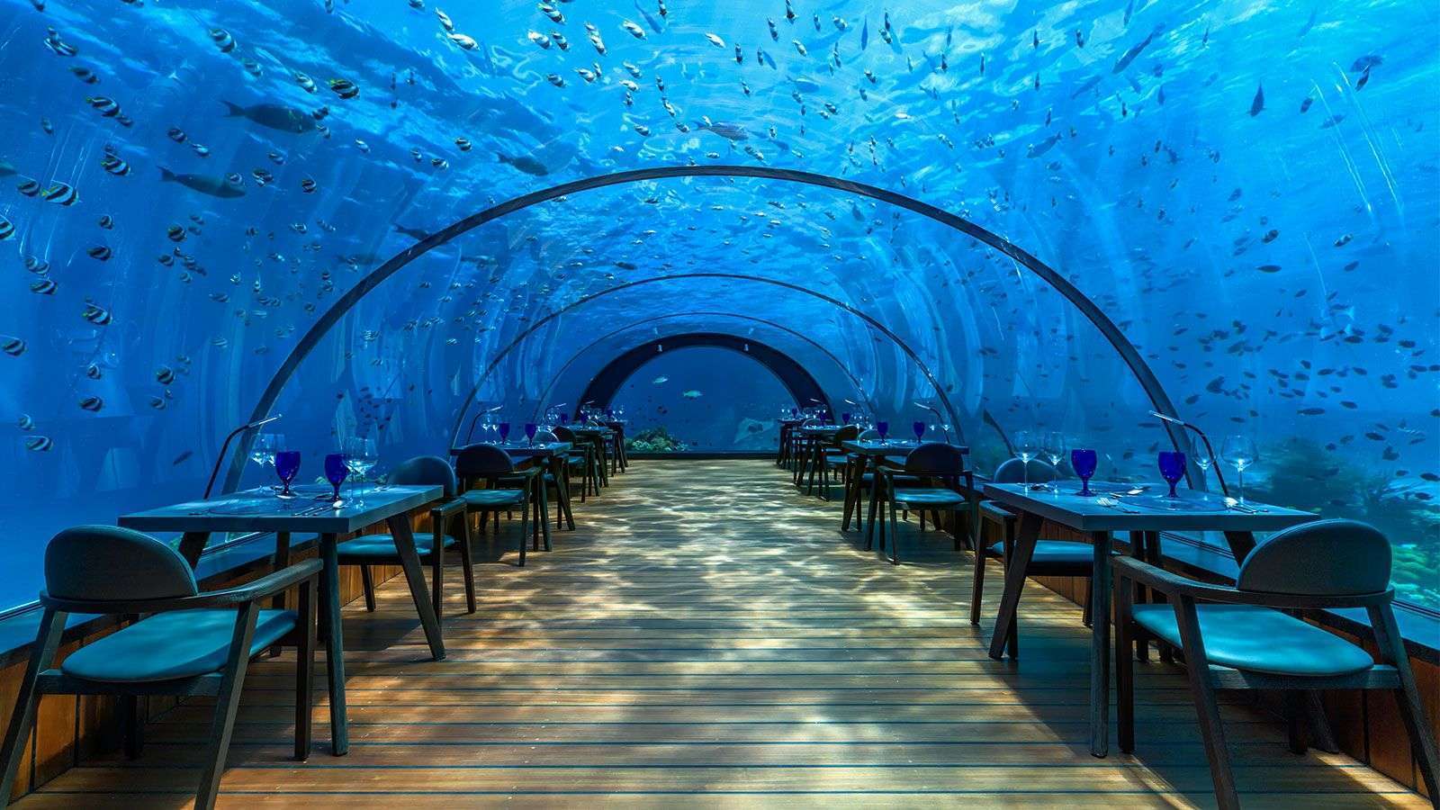 Dining Five Metres Below the Surface
